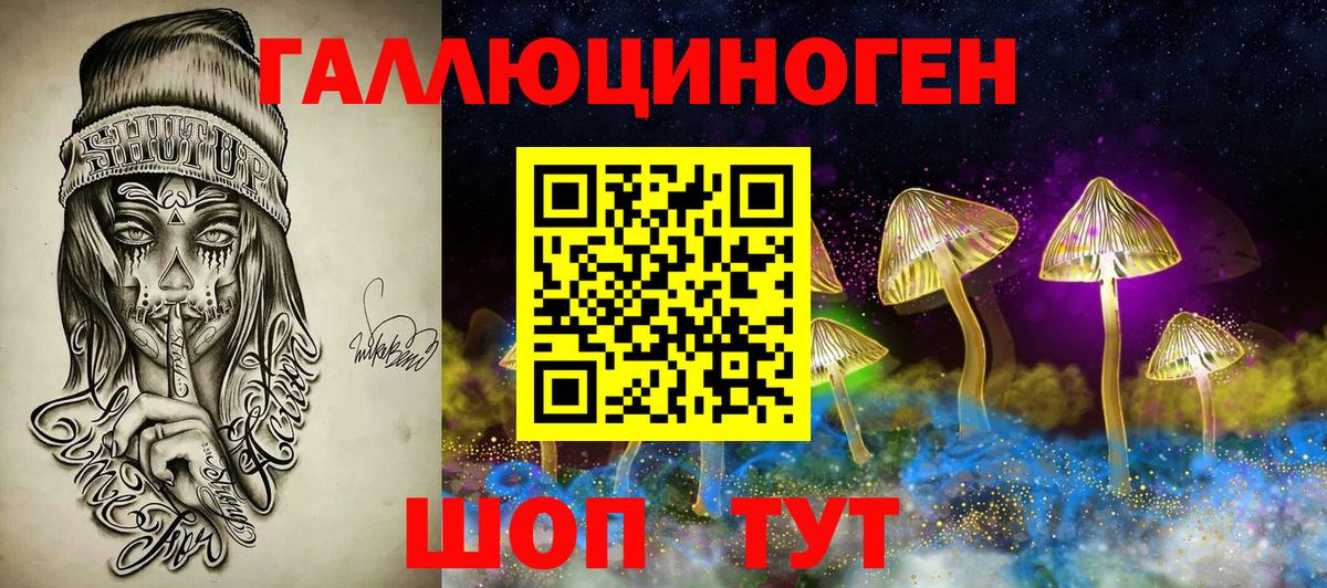 Псилоцибиновые грибы Psilocybe Калуга